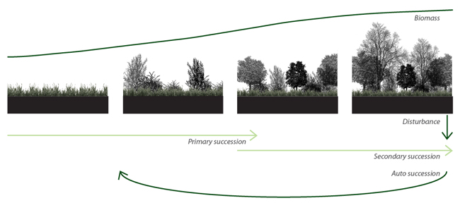 Landscape Architecture In Arid Climates Cntxt Studio Abstract